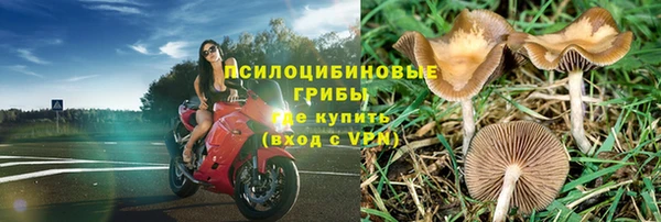 скорость Губаха