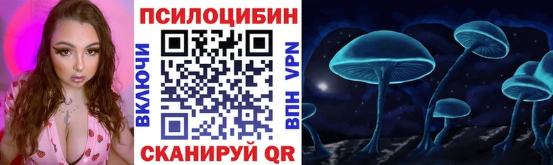 где найти Александровск Псилоцибиновые грибы GOLDEN TEACHER